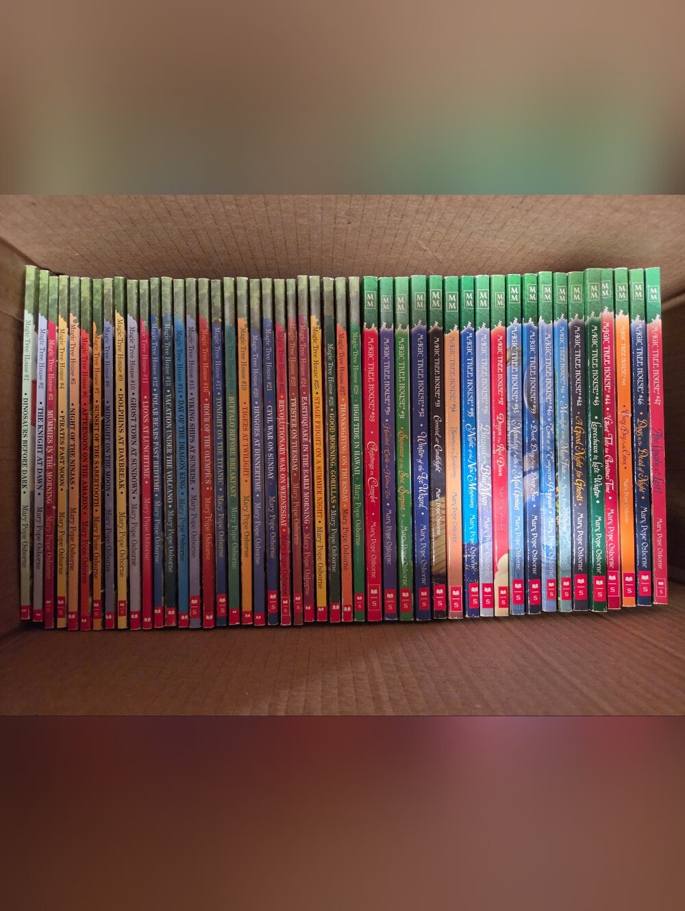 The magic treehouse book series 1-47 + extras
